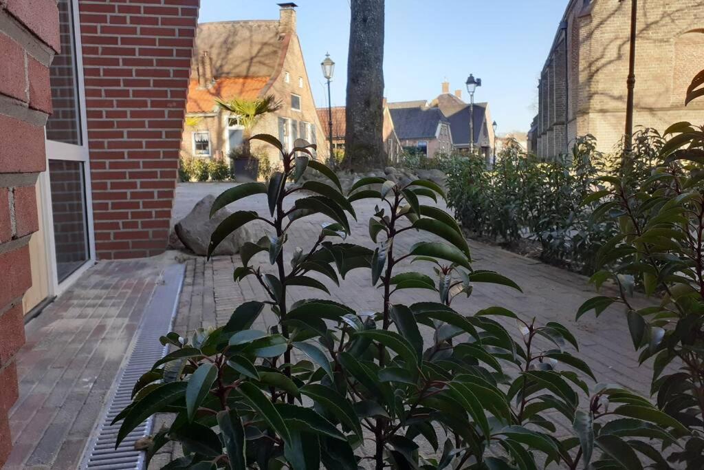Brinkzicht Diever, Appartement Bert Bagian luar foto